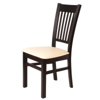 jídelní židle ANETA - Z72