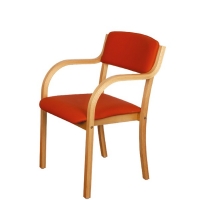jídelní židle FIONA - Z137